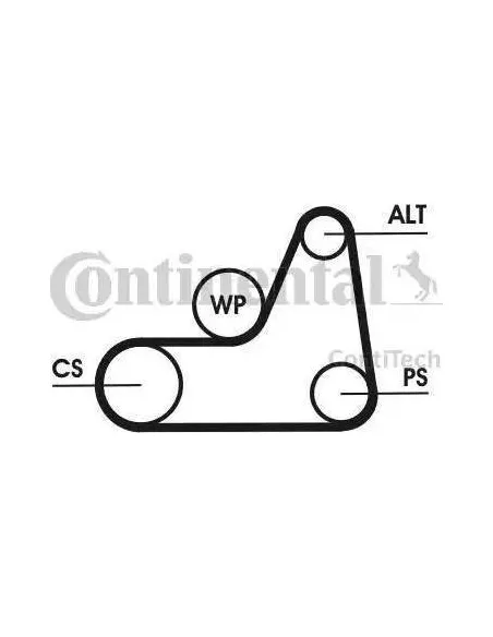 Correa auxiliar elástica Poly-V Continental 6PK1042ELAST 6 canales 1042 mm