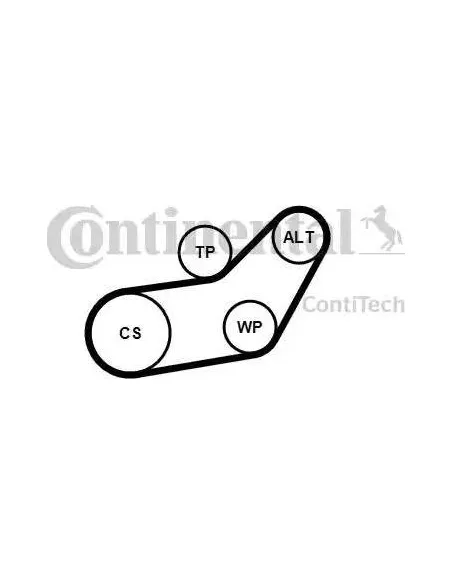 Correa auxiliar Poly-V Continental 6PK1045K1 6 canales 1045 mm