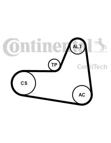 Continental 6PK1045K2 - Juego de correas trapeciales poli V Golf V