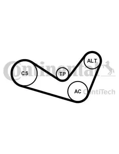 Continental 6PK1050K1 - Juego de correas trapeciales poli V Golf V