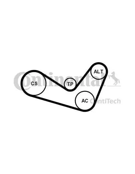Correa poli-V Dayco 6PK1050K1 6 canales 1050 mm