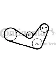 Continental 6PK1050K2 - Juego de correas trapeciales poli...