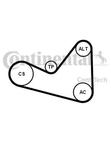 Juego de correas trapeciales poli V