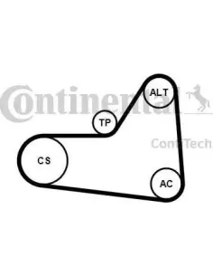 Juego de correas trapeciales poli V