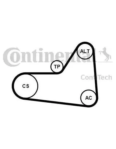 Juego de correas trapeciales poli V