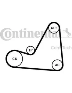 Juego de correas trapeciales poli V