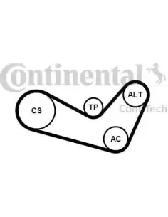 Juego de correas trapeciales poli V