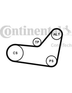 Juego de correas trapeciales poli V