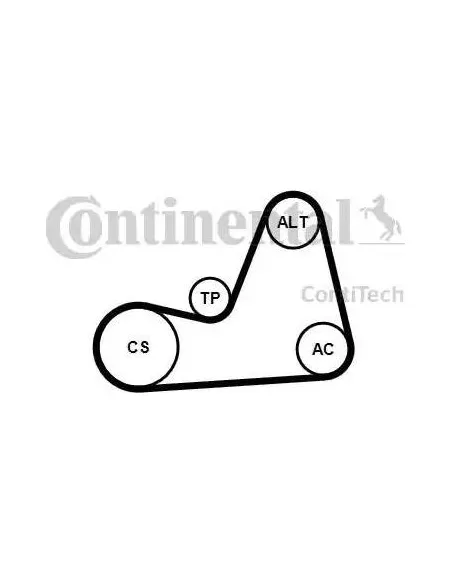 Correa auxiliar Poly-V Continental 6PK1100K1 6 canales 1100 mm
