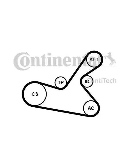 Correa auxiliar Poly-V Continental 6PK1125K1 6 canales 1125 mm