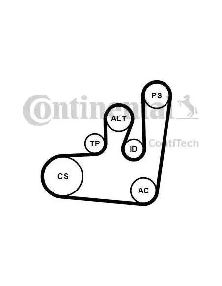 Correa auxiliar Poly-V Continental 6PK1145K1 6 canales 1145 mm