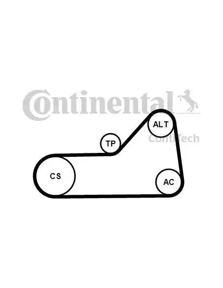 Correa auxiliar Poly-V Continental 6PK1153K1 6 canales 1153 mm