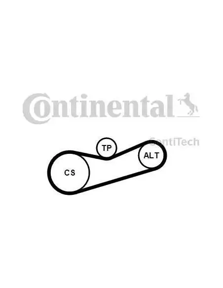 Correa auxiliar Poly-V Continental 6PK1180K2 6 canales 1180 mm