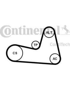 Juego de correas trapeciales poli V