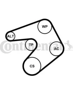 Juego de correas trapeciales poli V