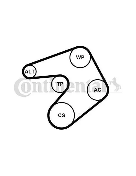 Correa auxiliar Poly-V Continental 6PK1205K1 6 canales 1205 mm