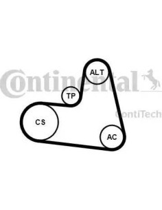 Juego de correas trapeciales poli V