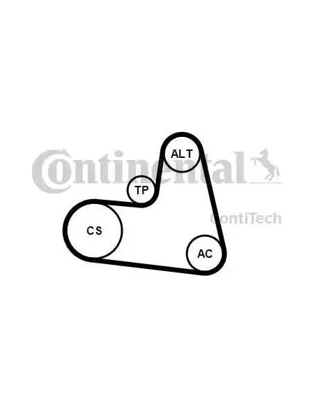 Correa auxiliar Poly-V Continental 6PK1217K1 6 canales 1217 mm