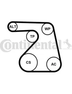 Juego de correas trapeciales poli V