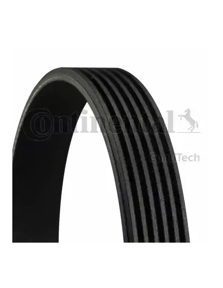 Correa auxiliar Poly-V Continental 6PK1256 6 canales 1256 mm