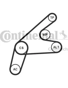 Juego de correas trapeciales poli V