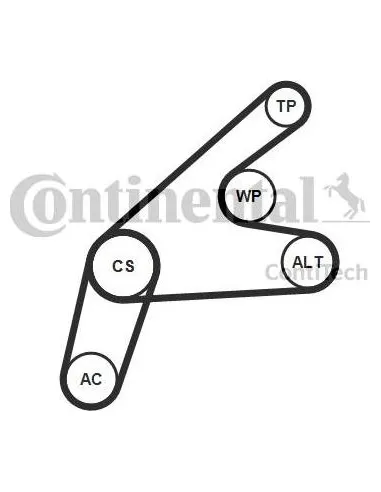 Juego de correas trapeciales poli V