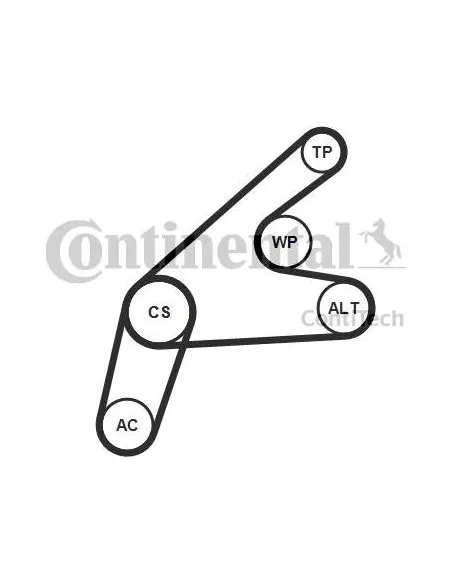 Correa auxiliar Poly-V Continental 6PK1306K3 6 canales 1306 mm