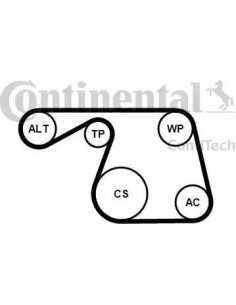 Juego de correas trapeciales poli V
