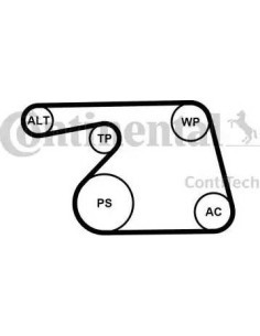 Juego de correas trapeciales poli V