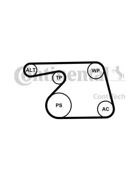 Correa auxiliar Poly-V Continental 6PK1318K2 6 canales 1318 mm