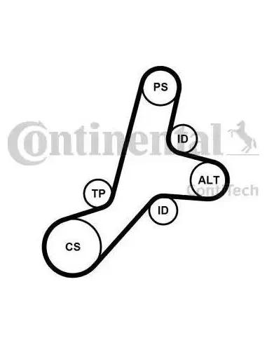 Juego de correas trapeciales poli V