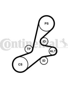 Juego de correas trapeciales poli V