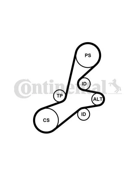 Correa auxiliar Poly-V Continental 6PK1352K1 6 canales 1352 mm