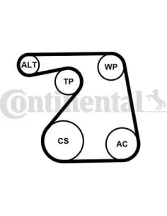 Juego de correas trapeciales poli V