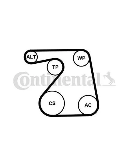 Correa auxiliar Poly-V Continental 6PK1360K1 6 canales 1360 mm