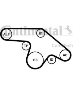 Juego de correas trapeciales poli V