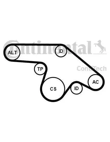 Juego de correas trapeciales poli V