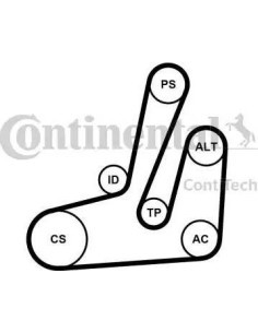 Juego de correas trapeciales poli V