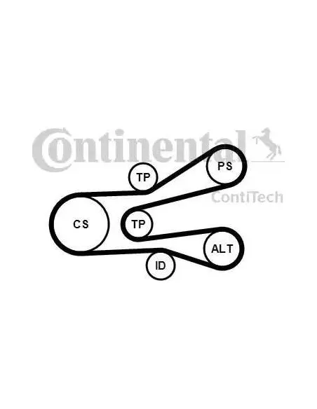 Correa auxiliar Poly-V Continental 6PK1440K1 6 canales 1440 mm