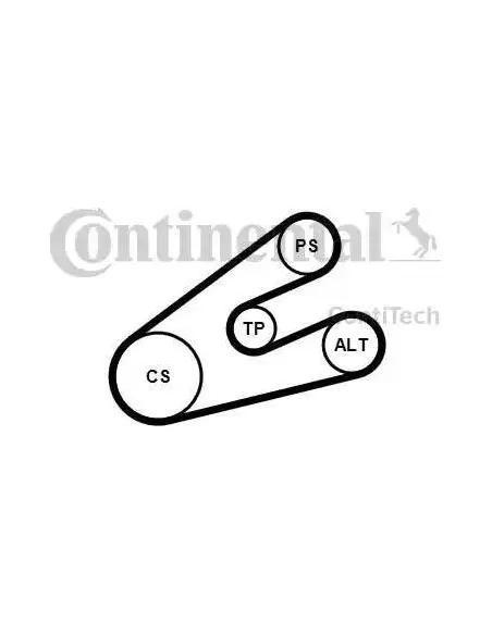 Correa auxiliar Poly-V Continental 6PK1453K1 6 canales 1453 mm