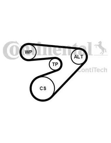 Juego de correas trapeciales poli V