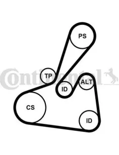 Juego de correas trapeciales poli V