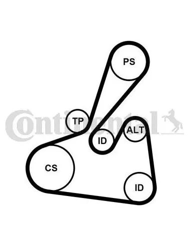 Juego de correas trapeciales poli V