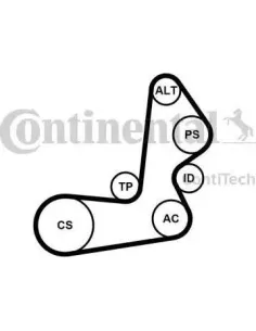 Juego de correas trapeciales poli V