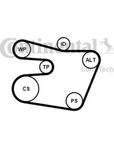 Juego de correas trapeciales poli V