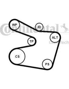 Juego de correas trapeciales poli V