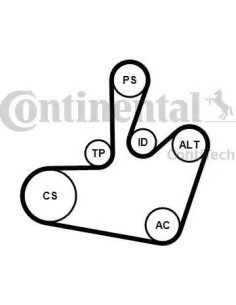 Juego de correas trapeciales poli V