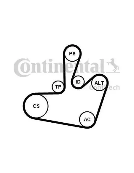Correa auxiliar Poly-V Continental 6PK1548K1 6 canales 1548 mm