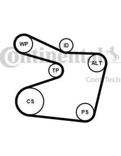 Juego de correas trapeciales poli V
