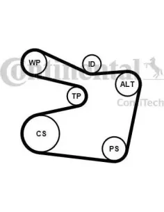 Juego de correas trapeciales poli V